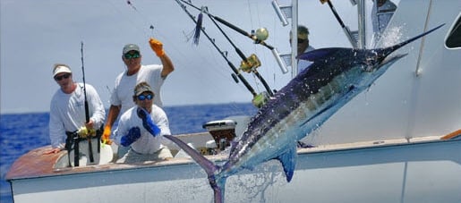 Guy Harvey Performance Fishing Shirts